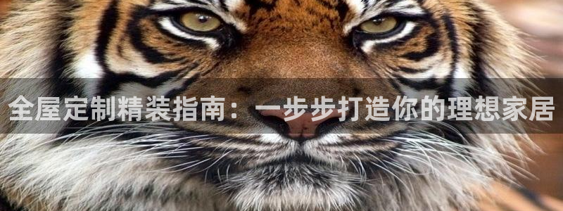 bb电子糖果彩球