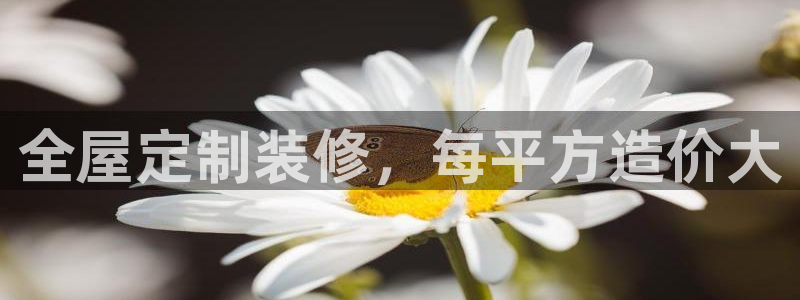 bB电子琴和弦