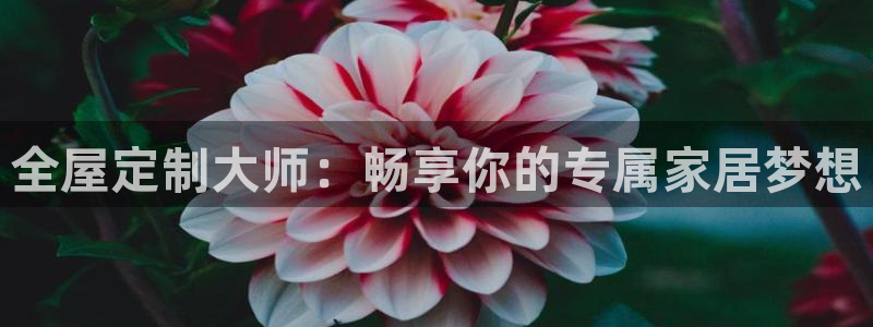 bb电子最简单设置方法