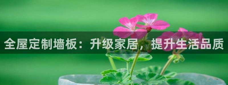 bb电子最简单设置方法
