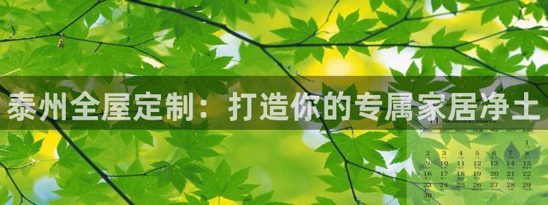 BB电子哪个平台好出款