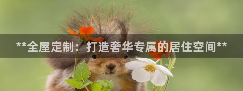 bb电子糖果哪个网站好mg官方电子平台