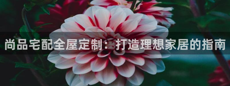 bb电子哪个平台好用点