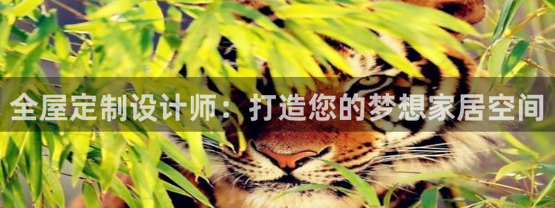 bb电子糖果哪个网站好mg官方电子平台