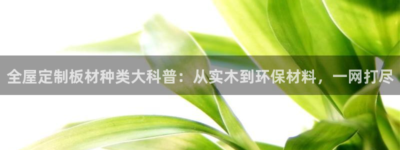 bb电子哪个平台好啊