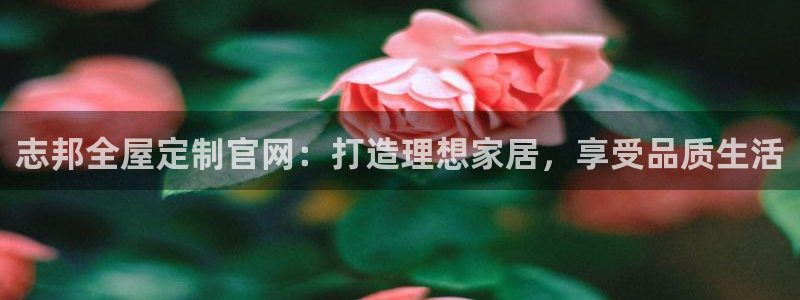 bb电子哪个游戏好赢钱一点的