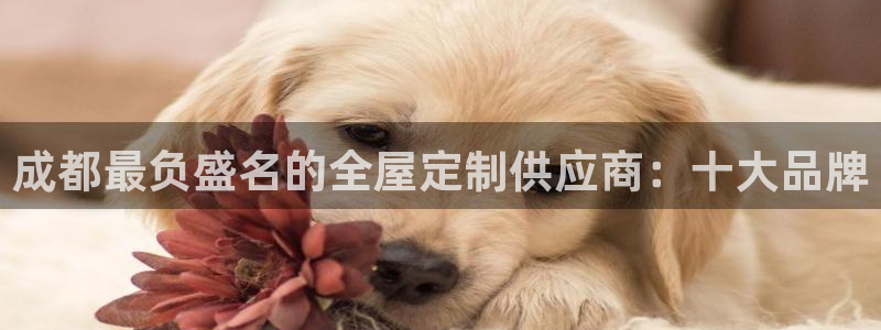 bb电子最简单设置方法