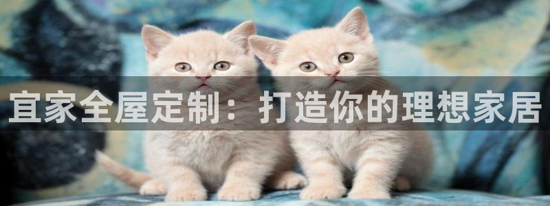 bb电子教育平台
