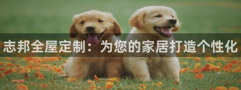 bb电子哪个游戏好赢钱