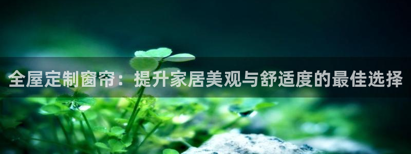 bb电子哪个平台好用一点