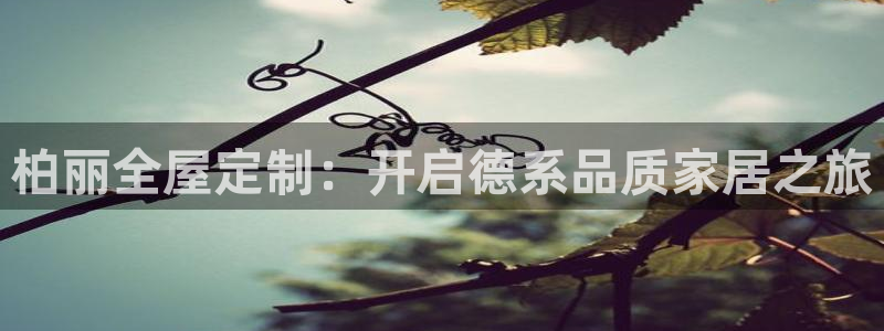bb电子中了Major怎么算