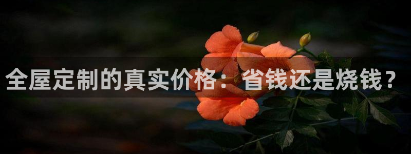 bb电子哪个平台好用点
