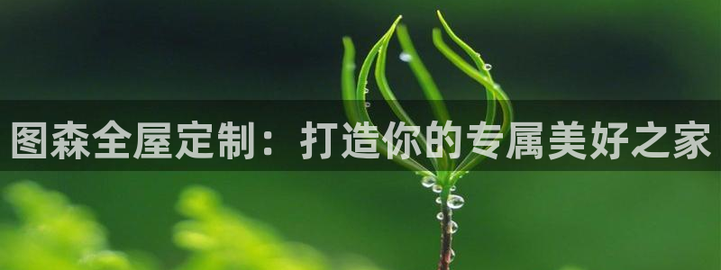 BB电子锁怎么接电