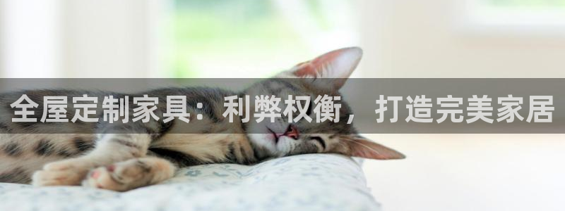 bb电子哪个平台好啊