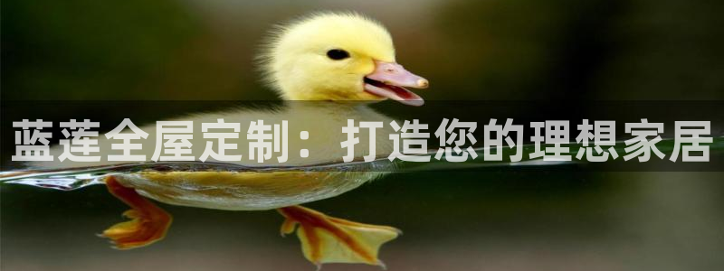 网上bb电子为什么那么假
