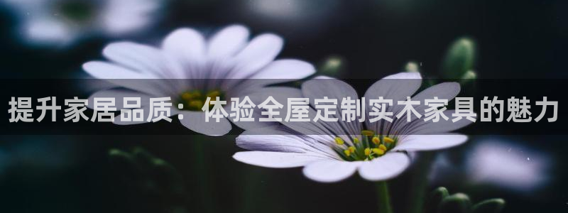 bb电子哪个平台好