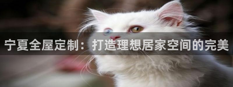 bb电子哪个平台好些