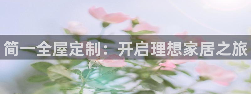 bb电子哪个平台好用一点