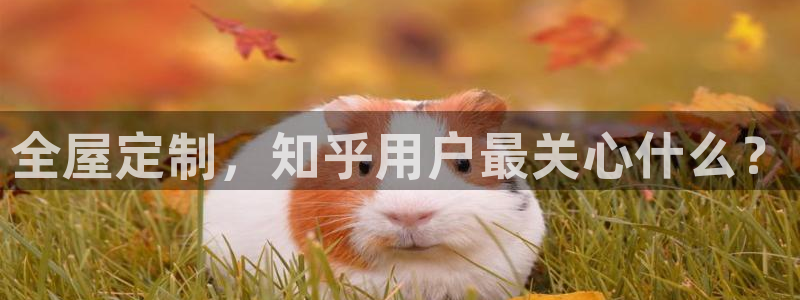 bb电子怎么样