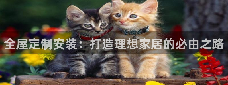 网上bb电子为什么那么假的