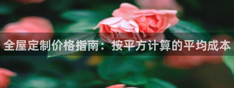 bb电子怎么赢
