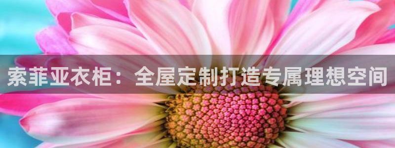 bb电子怎么赢