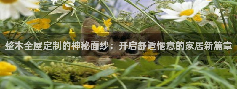 bb电子什么游戏好赢