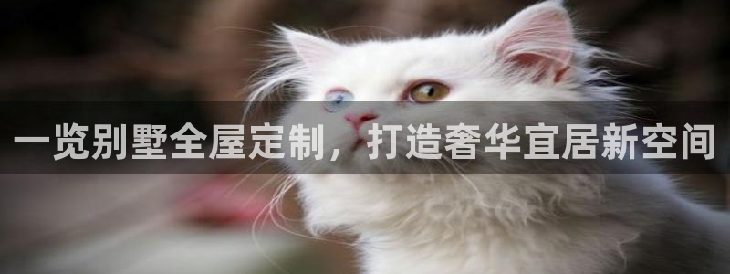 bb电子哪个游戏好赢钱啊