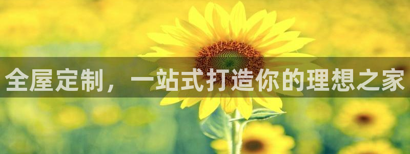 bb电子