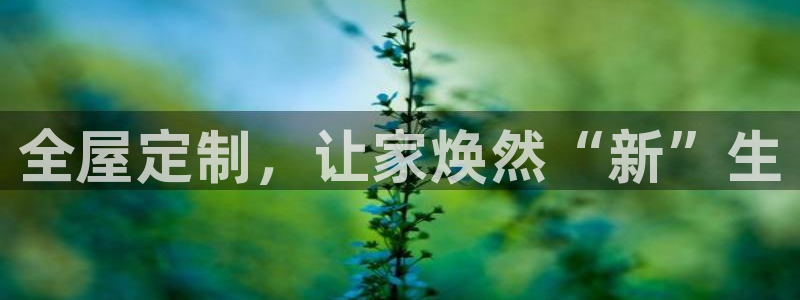 bb电子哪个平台好一点