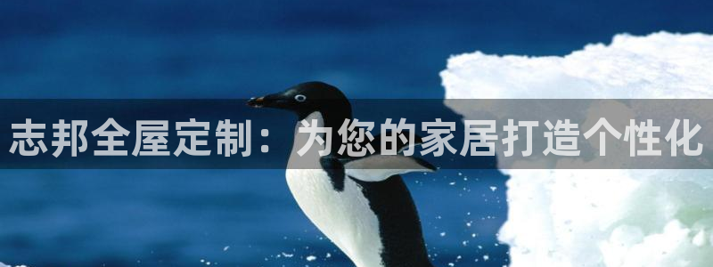 bb电子最简单设置方法