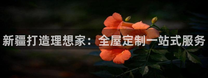 bb电子哪个平台好一点
