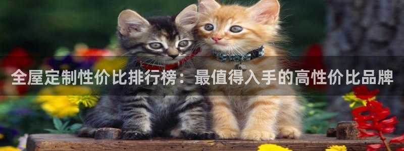 网上bb电子为什么那么假的