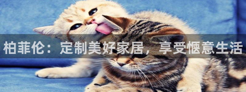 bb电子为什么总赢不了