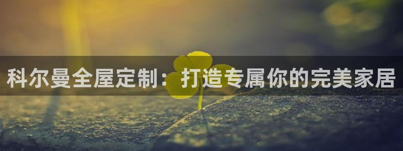 bB电子琴和弦