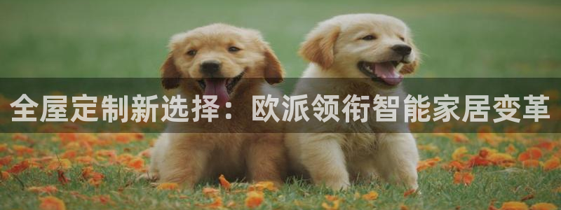 bb电子哪个平台好用