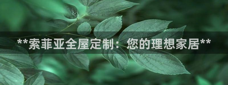 bb电子哪个平台好用