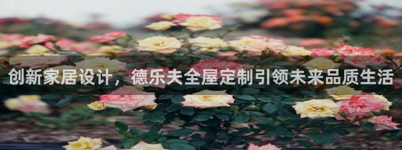 bb电子掉彩金