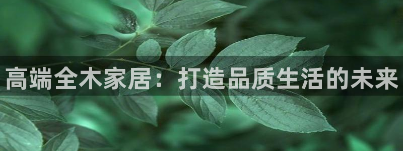 BB电子麻将胡了