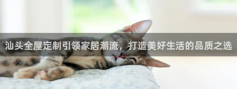 bb电子怎么样