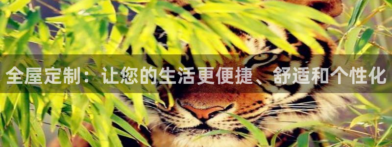 bb电子为什么总赢不了