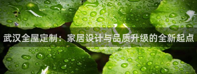 网上bb电子为什么那么假的