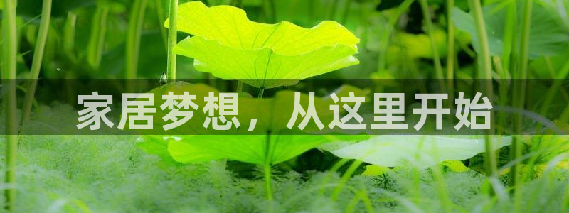 bb电子什么游戏好赢一点