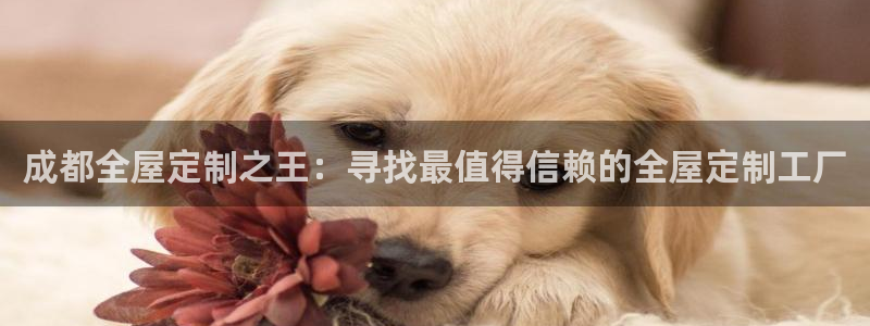 bb电子哪个平台好用一点